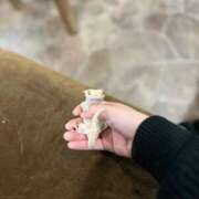 ヒメ日記 2025/05/27 23:37 投稿 かおり しろうとCollection