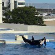 ヒメ日記 2025/06/02 23:27 投稿 かおり しろうとCollection