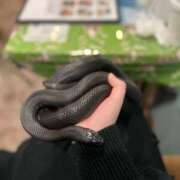 ヒメ日記 2025/07/19 00:07 投稿 かおり しろうとCollection