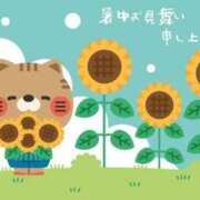 ヒメ日記 2025/07/07 12:04 投稿 佐伯☆Silver 岡山人妻デリヘルLipKiss