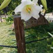 ヒメ日記 2025/08/20 13:10 投稿 佐伯☆Silver 岡山人妻デリヘルLipKiss