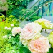 ヒメ日記 2026/07/12 08:03 投稿 ♪めい♪ 水色りぼん