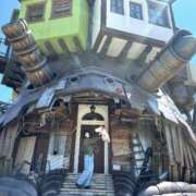 ヒメ日記 2025/06/01 13:44 投稿 みらい チューリップ福井本館