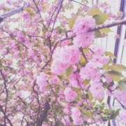 ヒメ日記 2025/05/28 15:30 投稿 レム 五反田ハートショコラ（シンデレラグループ）