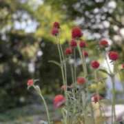 ヒメ日記 2025/07/13 12:48 投稿 松山（まつやま） Exe～エグゼ～