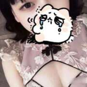 あき まねきねこ🐱 アネックスジャパン