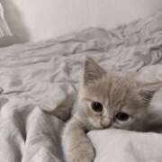 ヒメ日記 2025/05/21 17:05 投稿 ひまり 山梨デリヘル 絆