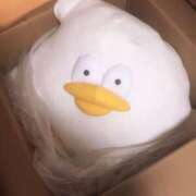 ヒメ日記 2025/07/19 10:40 投稿 こずえ 千葉柏ちゃんこ