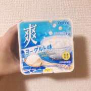 ヒメ日記 2025/08/03 09:02 投稿 こずえ 千葉柏ちゃんこ