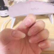 ヒメ日記 2025/08/12 22:23 投稿 こずえ 千葉柏ちゃんこ