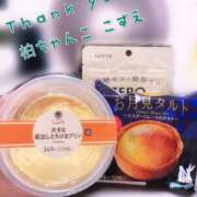 ヒメ日記 2025/09/18 16:42 投稿 こずえ 千葉柏ちゃんこ