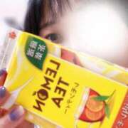 ヒメ日記 2025/09/20 11:09 投稿 こずえ 千葉柏ちゃんこ