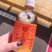 ヒメ日記 2025/10/28 13:42 投稿 こずえ 千葉柏ちゃんこ