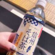 ヒメ日記 2025/11/12 13:55 投稿 こずえ 千葉柏ちゃんこ