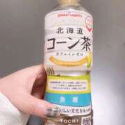 ヒメ日記 2025/11/25 18:47 投稿 こずえ 千葉柏ちゃんこ