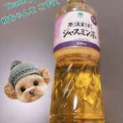 ヒメ日記 2026/02/24 23:50 投稿 こずえ 千葉柏ちゃんこ