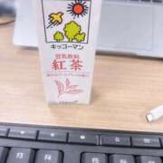 ヒメ日記 2026/03/13 09:35 投稿 こずえ 千葉柏ちゃんこ