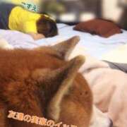 ヒメ日記 2026/03/15 08:12 投稿 こずえ 千葉柏ちゃんこ