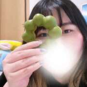 ヒメ日記 2026/04/05 18:16 投稿 こずえ 千葉柏ちゃんこ