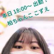 ヒメ日記 2026/05/24 17:20 投稿 こずえ 千葉柏ちゃんこ