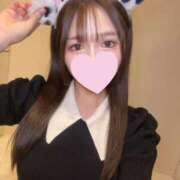 ヒメ日記 2025/06/03 11:15 投稿 みやこ 極楽城(ゴクラクジョウ)