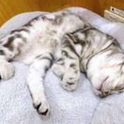 ヒメ日記 2025/06/06 13:04 投稿 夕妃（ゆうひ） 人妻の蜜