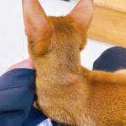 ヒメ日記 2026/02/14 16:01 投稿 夕妃（ゆうひ） 人妻の蜜