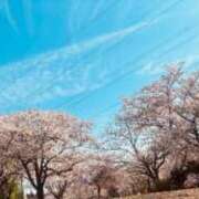 ヒメ日記 2026/04/03 14:02 投稿 夕妃（ゆうひ） 人妻の蜜