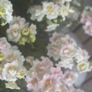 ヒメ日記 2026/04/07 18:58 投稿 さゆ ジュエルズ(池袋)