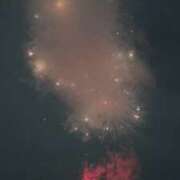 ヒメ日記 2026/08/02 19:20 投稿 しお 黒い金魚（札幌）