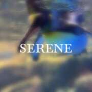 ヒメ日記 2025/06/01 00:08 投稿 月神-serene- 品川エッセンス