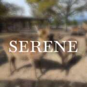 ヒメ日記 2025/08/16 23:59 投稿 月神-serene- 品川エッセンス