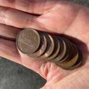 ヒメ日記 2025/12/30 11:19 投稿 はずき 人妻花かんざし