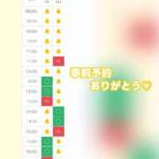 ヒメ日記 2025/08/22 09:04 投稿 てんき チューリップ福井別館