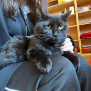 ヒメ日記 2025/06/13 15:05 投稿 ひじり ハピネス＆ドリーム 松山道後温泉