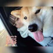 ヒメ日記 2026/01/25 16:15 投稿 ひじり ハピネス＆ドリーム 松山道後温泉