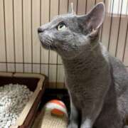 ヒメ日記 2026/03/14 08:58 投稿 ひじり ハピネス＆ドリーム 松山道後温泉