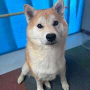 ヒメ日記 2026/03/21 08:38 投稿 ひじり ハピネス＆ドリーム 松山道後温泉