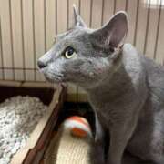 ヒメ日記 2026/03/22 08:38 投稿 ひじり ハピネス＆ドリーム 松山道後温泉