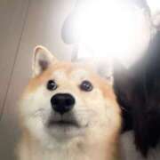 ヒメ日記 2026/03/23 08:38 投稿 ひじり ハピネス＆ドリーム 松山道後温泉