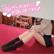 ヒメ日記 2025/11/14 17:45 投稿 れもん bunny paradise