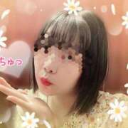 ヒメ日記 2025/11/05 15:12 投稿 つぼみ 池袋人妻ヒットパレード（シンデレラグループ）