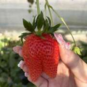 ヒメ日記 2026/03/14 09:09 投稿 かおり もんぜつちじょ本店