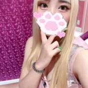 ヒメ日記 2025/07/08 12:24 投稿 ひじり チューリップ福井別館