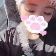 ヒメ日記 2025/09/06 16:07 投稿 ひじり チューリップ福井別館