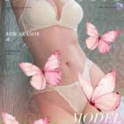 ヒメ日記 2025/06/17 22:12 投稿 鈴木 りょうこ こあくまな熟女たち 神戸西・明石店（KOAKUMAグループ）