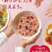 ヒメ日記 2023/11/23 09:53 投稿 はな 北九州人妻倶楽部（三十路、四十路、五十路）