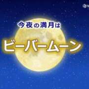 ヒメ日記 2023/11/27 18:39 投稿 はな 北九州人妻倶楽部（三十路、四十路、五十路）