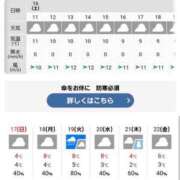 ヒメ日記 2023/12/16 10:28 投稿 はな 北九州人妻倶楽部（三十路、四十路、五十路）