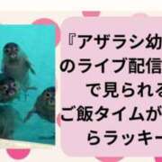 ヒメ日記 2024/11/05 18:35 投稿 はな 北九州人妻倶楽部（三十路、四十路、五十路）